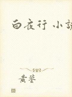 白夜行 小说