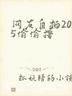 网友自拍2015偷偷撸