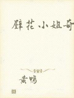 壁花小姐奇遇记