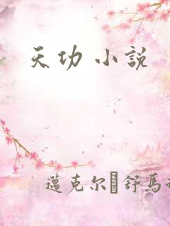 天功 小说
