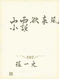 山雨欲来风满楼小说