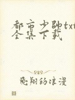 都市少帅txt全集下载