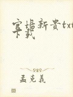 官场新贵txt下载