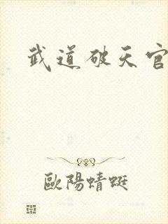 武道破天官网