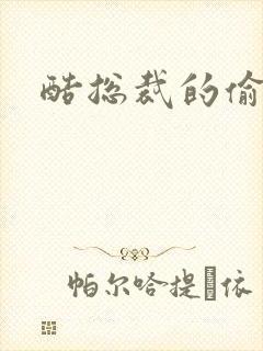 酷总裁的偷孕妻