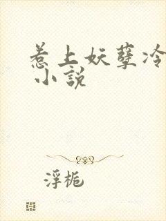 惹上妖孽冷殿下 小说