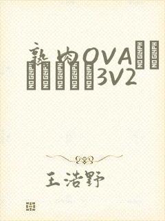 熟肉OVAちゃんはしたい3V2