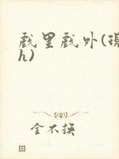 戏里戏外(现场h)