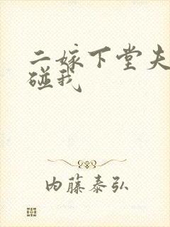 二嫁下堂夫君别碰我