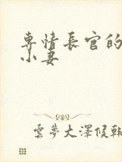 专情长官的天价小妻