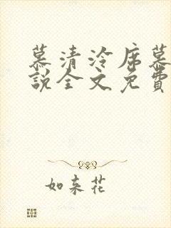 慕清泠席慕深小说全文免费阅读