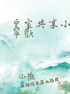 皇家共享小公主宁欢