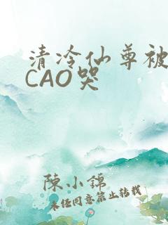 清冷仙尊被强制CAO哭