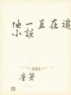 他一直在追初恋小说