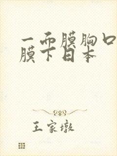 一面膜胸口一面膜下日本