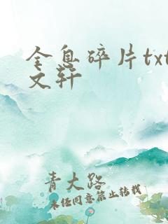 全息碎片txt文轩