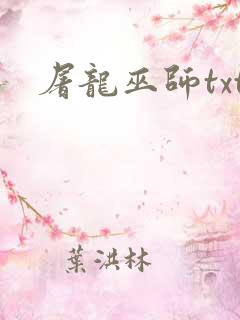 屠龙巫师txt