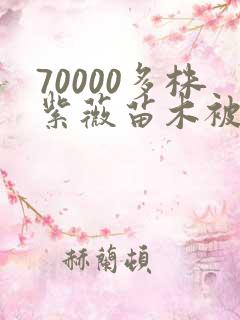 70000多株紫薇苗木被强毁