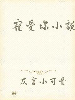宠爱你小说