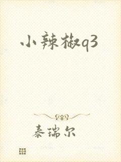小辣椒q3