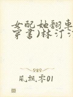 女配她翻车了(穿书)林汀汀