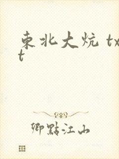 东北大炕 txt