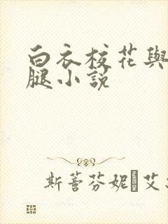 白衣校花与大长腿小说