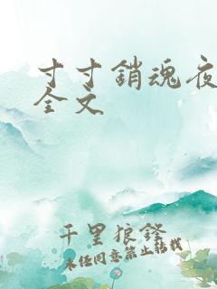 寸寸销魂夜春光全文