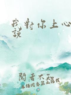 我对你上心了小说