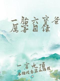 一胎六宝爸比好厉害目录