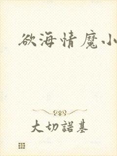 欲海情魔小说