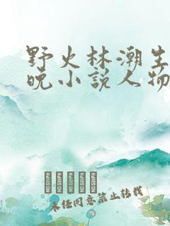 野火林潮生林晚晚小说人物野火