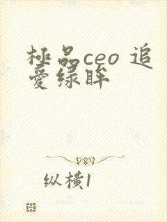 极品ceo 追爱绿眸