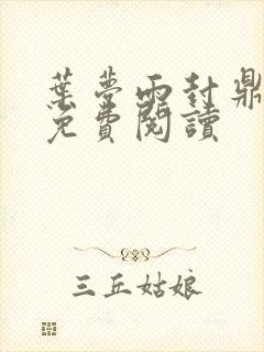 叶梦雨封鼎小说免费阅读