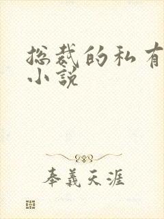 总裁的私有宝贝小说