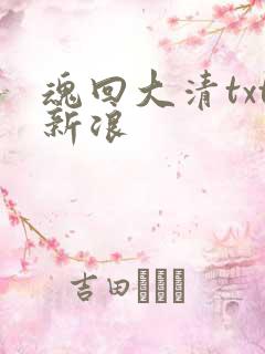 魂回大清txt新浪