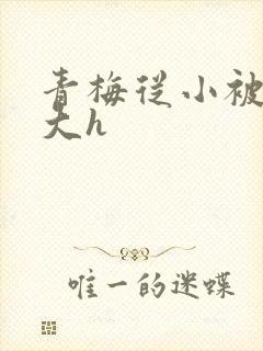 青梅从小被弄到大h