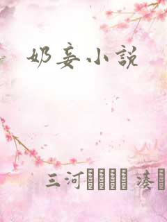 奶妾小说