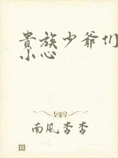 贵族少爷们 请小心