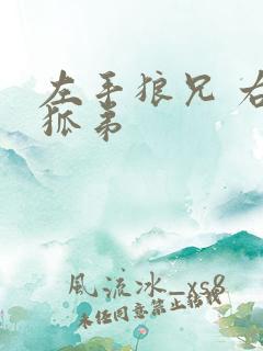 左手狼兄 右手狐弟