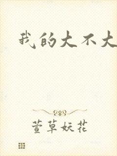 我的大不大宝宝