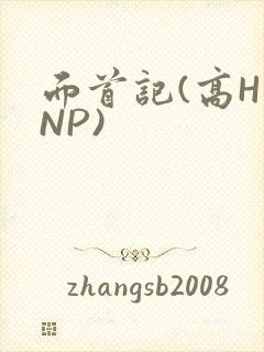 面首记(高H NP)