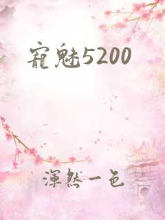 宠魅5200