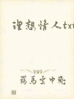 理想情人txt