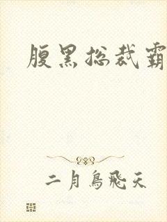 腹黑总裁霸道妻