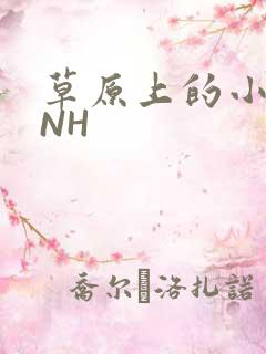草原上的小公主NH