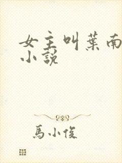 女主叫叶南初的小说