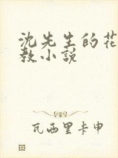 沈先生的花式调教小说