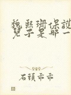 魏熙珊保护萧峥儿子是哪一集