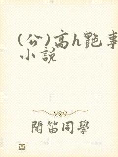 (公)高h艳事小说